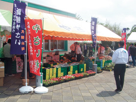 ̾����®ƻϩ ����PA�ʲ����