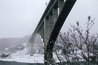 「雪の花と大橋」
横山 雪子さん