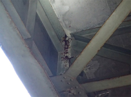 橋桁の損傷状況