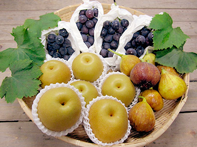 新鮮な果物（葡萄、梨、イチジク、栗 等）