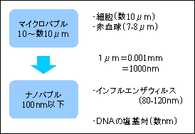 ナノバブルの大きさ