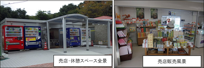 現地写真など