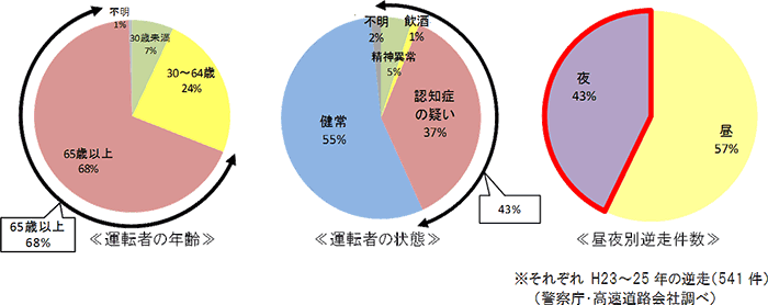 運転者の年齢　運転者の状態　昼夜別逆走件数