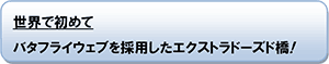世界で初めてバタフライウェブを採用したエクストラドーズド橋！