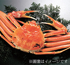 竹．鳥取県産松葉ガニ
