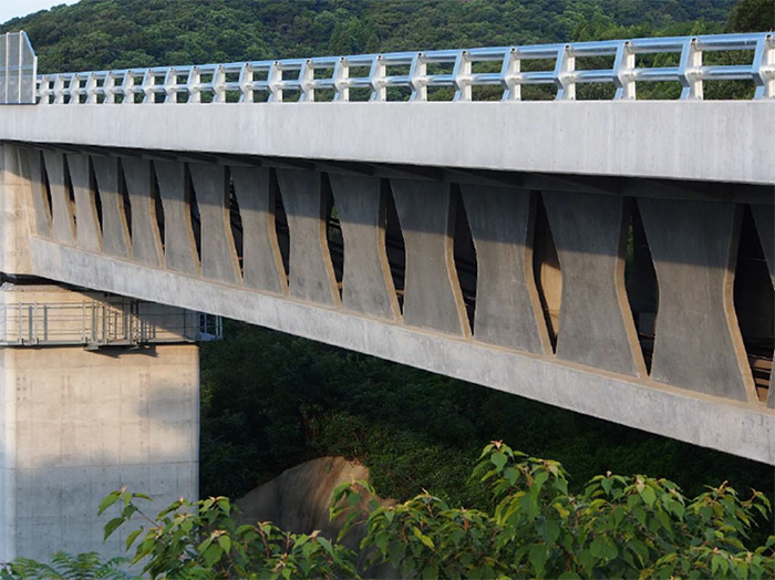 田久保川橋 バタフライウェブ近景