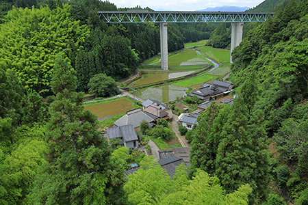 「緑深く田園の上に架かる高速道路」古川 佐代美さん