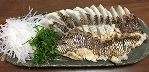 宮崎県産　旬の魚セット