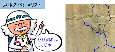 画像の収集枚数