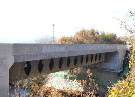 徳島自動車道　別埜谷橋