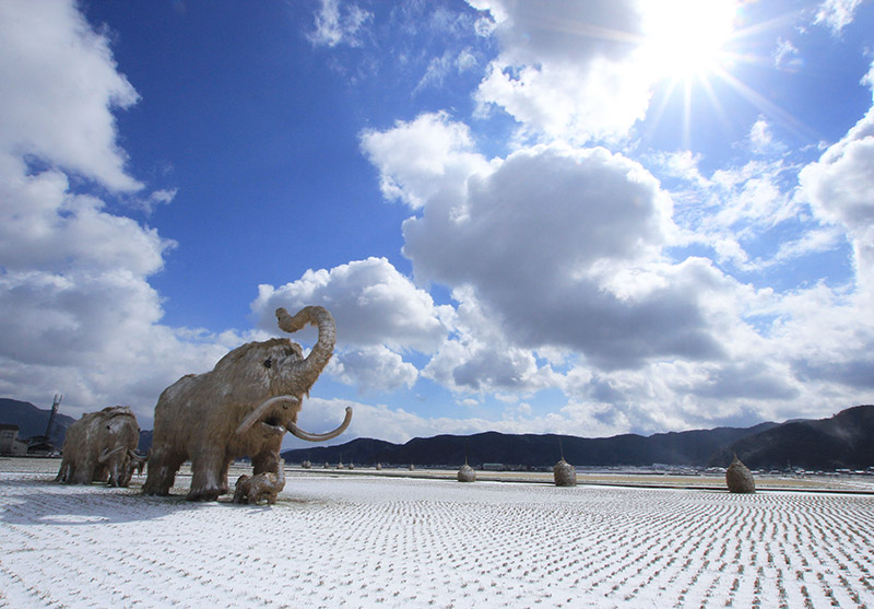 「マンモス行く」笹田 雅代さん