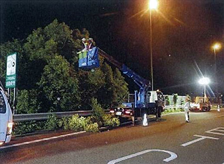 草木伐採