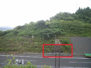 現地状況