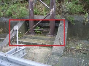 現地状況