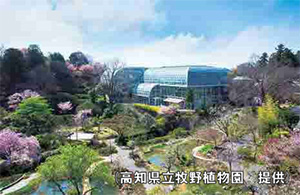 高知県立牧野植物園