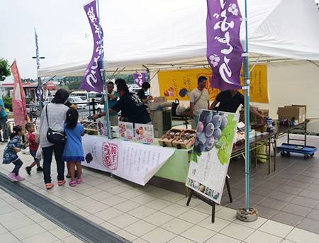 平成27年度イベント開催の様子
