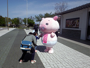 過去の実施状況