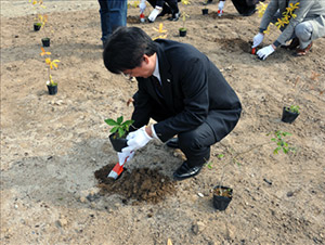 尼崎21世紀の森の植樹イベントに参加しました