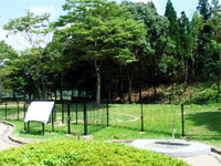 工事中のドッグラン