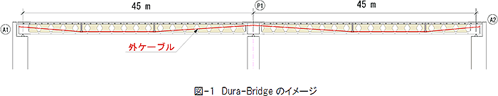 図-1　Dura-Bridgeのイメージ