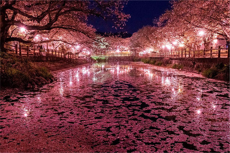 ベストスポット賞