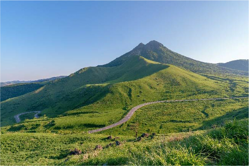 ベストシーズン賞（春）