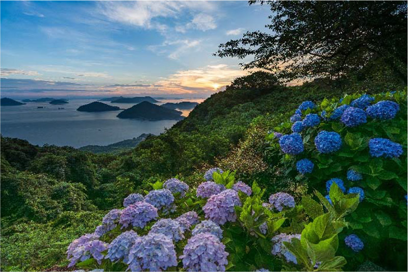 ベストシーズン賞（夏）