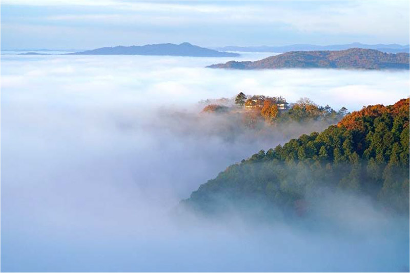 ベストシーズン賞（秋）