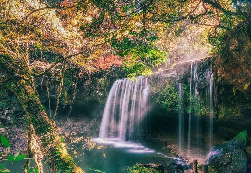 ベストブロック賞（九州）