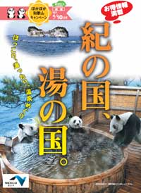 紀の国、湯の国。