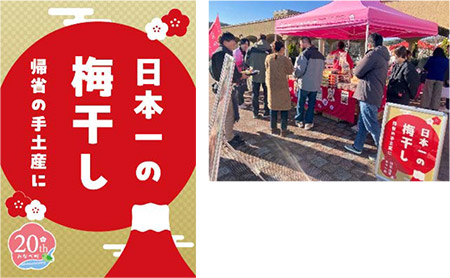 孫からレターイメージ