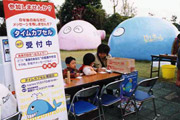 平成14年11月の状況