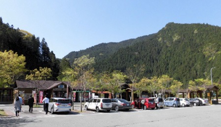高知県の豊かな森林が囲む周辺景観
