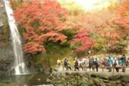 明治の森箕面国定公園（箕面大滝）