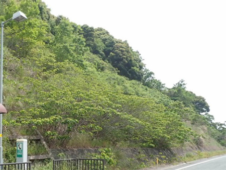 施工前