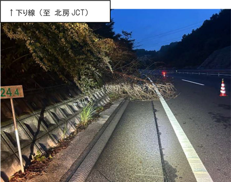 撤去前状況